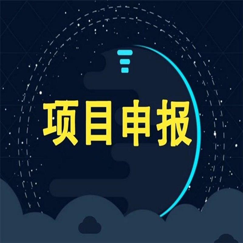 项目申报咨询:开启企业成长的新篇章